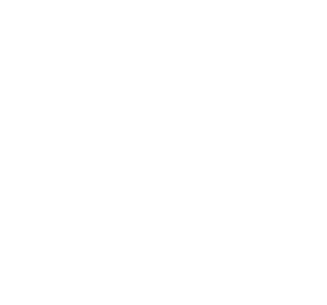 PEACE, JUSTICE AND STRONG INSTITUTIONS Logo